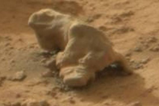 na marsu fosilizirana iguana