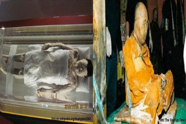 pet neistrunutih tela