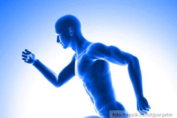 ljudsko telo zanimljive činjenice