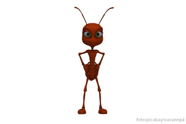 zanimljive činjenice o mravima