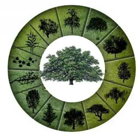 horoskop-staroslovenski