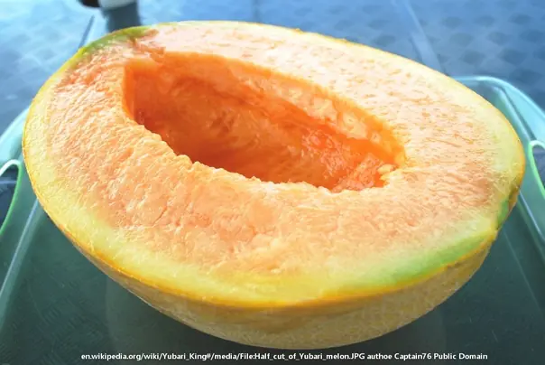 Yubari King Melon pola lubenice
