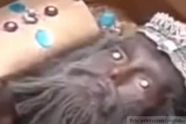 Anunaki video snimak