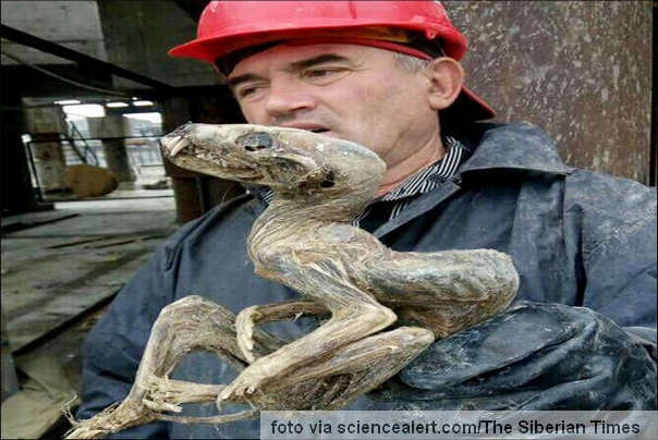 mistreiozno bice sibir