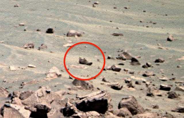 cipela na marsu zoom