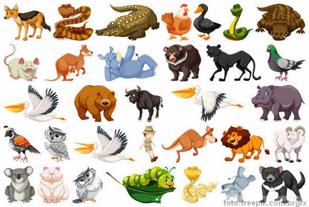 najveće životinje na svetu