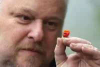 Papricica-zmajev-dah