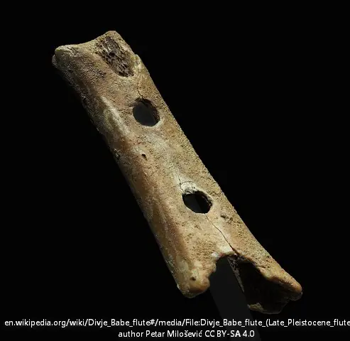 najstariji MUZIČKI instrument