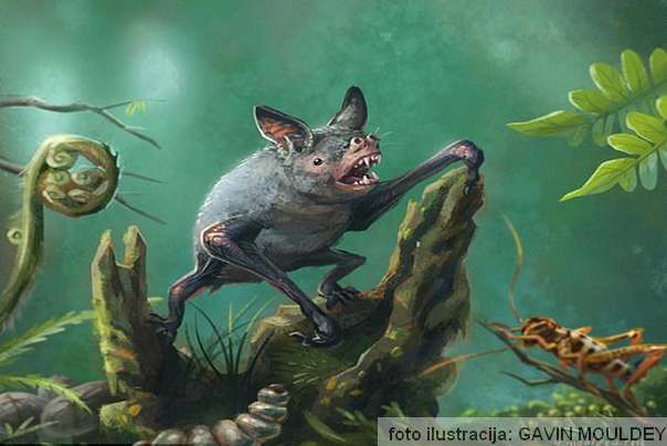 Umetnička ilustracija Slepi miš