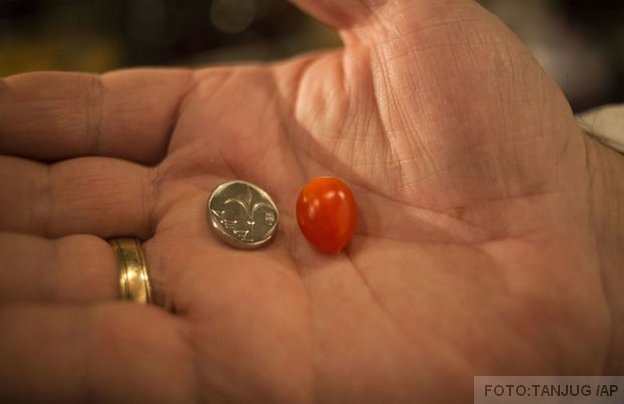 najmanji paradajz na svetu