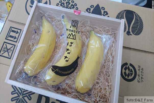 japanske mongee banane sa jestivom korom