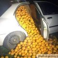 ukradene pomorandže u jednom od automobila