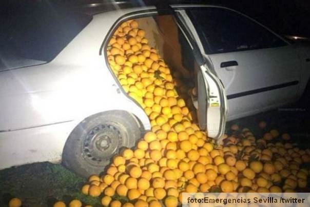 ukradene pomorandže u jednom od automobila