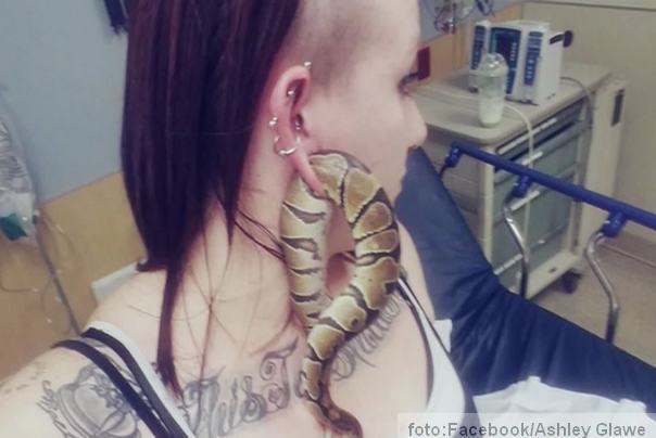 zmija u uhu E&scaron;li