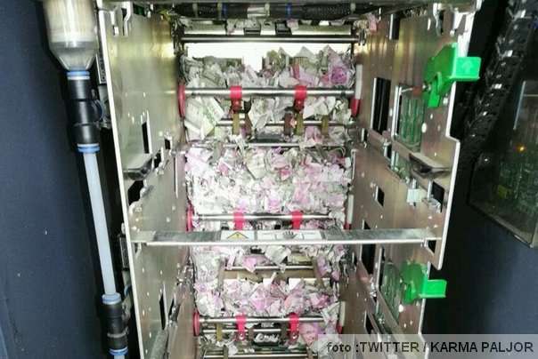 pacovi pojeli 15 hiljada evra