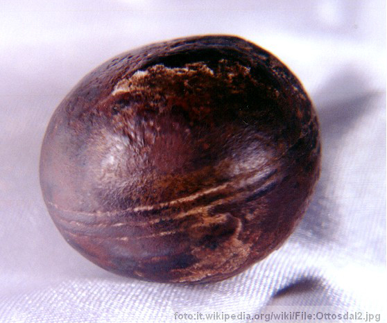 misteriozna klerksdorp sfera - kugla niko ne zna &scaron;ta je