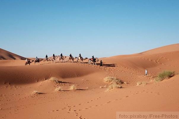 Ilustracija: sahara pustinja