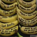 banane motivirajuće poruke iz školske kafeterije