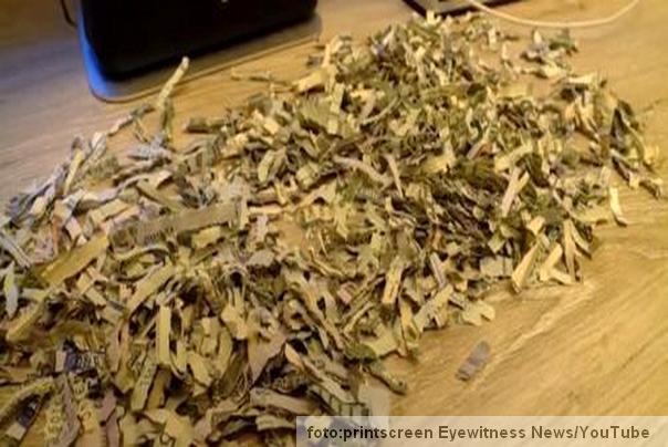 iseckani dolari koje je mališan uništio