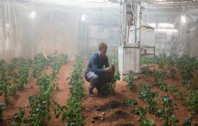 Ilustracija: isečak iz filma Marsovac uzgajanje krompira