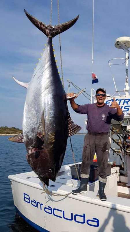 rekordna tuna od 317 kilograma hrvatska