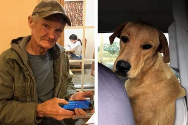 Giligan i njegov pas