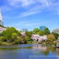 Shinjuku Gyoen Nacionalni Park