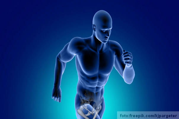 Ilustracija: ljudsko telo