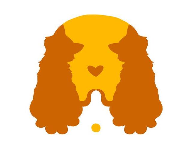 SLIKA TEST o ljubavnom životu