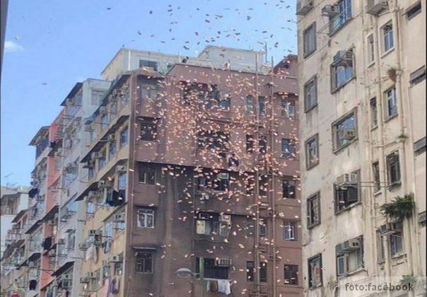 novac pada s neba hong kong