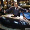 Kiyoshi Kimura je najskuplje platio tunu japan 2019