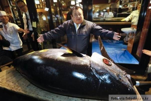 Kiyoshi Kimura je najskuplje platio tunu japan 2019