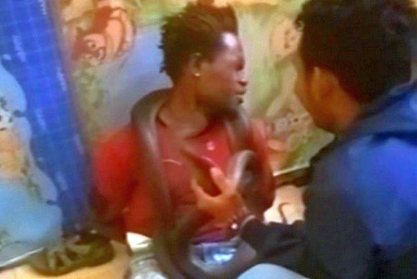 zmija oko vrata foto printscreen youtube