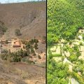 Šuma Sebastijana Salgadoa PRE I POSLE FOTO: Sebastijao Salgado
