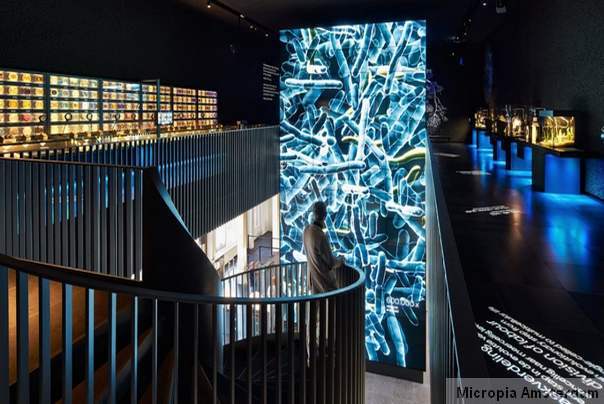 micropia muzej mikroba amsterdam