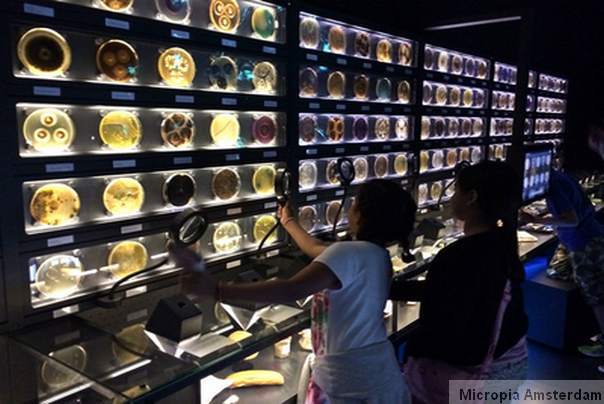 micropia muzej mikroba amsterdam 