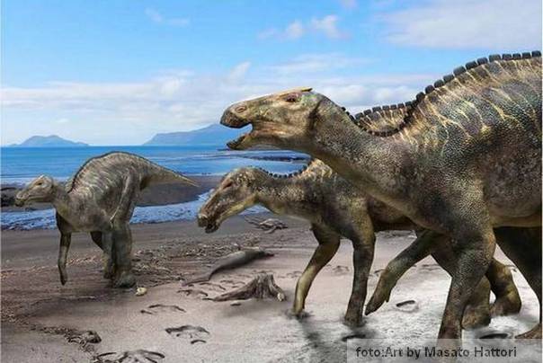 Kamuysaurus japonicus 