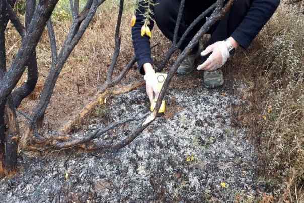 vatrene kugle čile paljevina