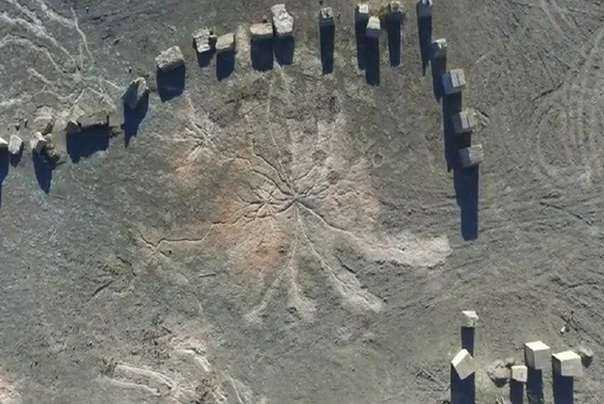 najstarija šuma na svetu