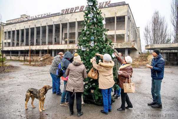 pripyat jelka