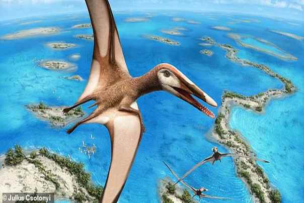pterosaurus Mimodactylus libanensis liban
