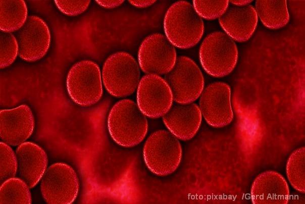 krvna plazma ilustracija