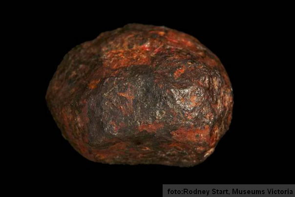 mineral meteorit Wedderburn