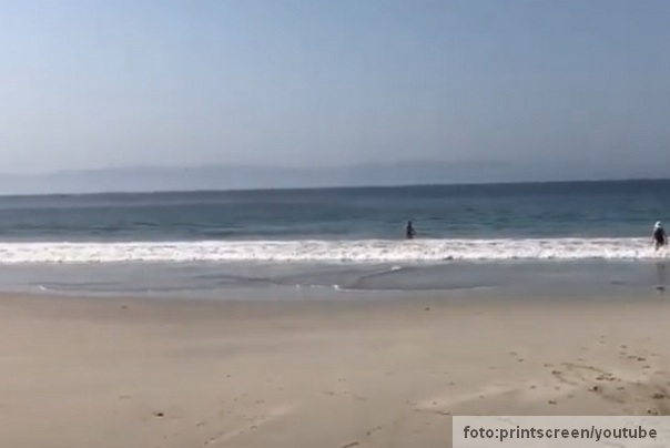 La Cruz de Huanacaxtle