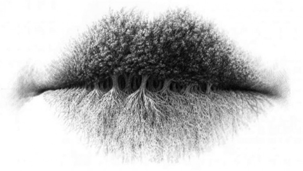 slika usne test slika usne test