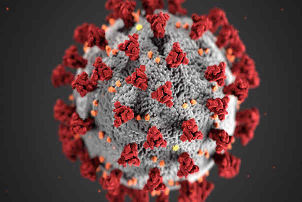 Coronavirus SARS CoV 2