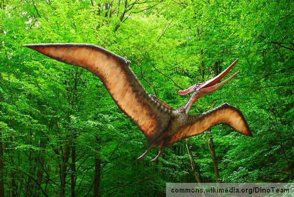 Pteranodon