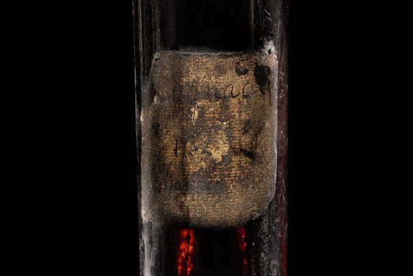 veliki brat konjak 135000