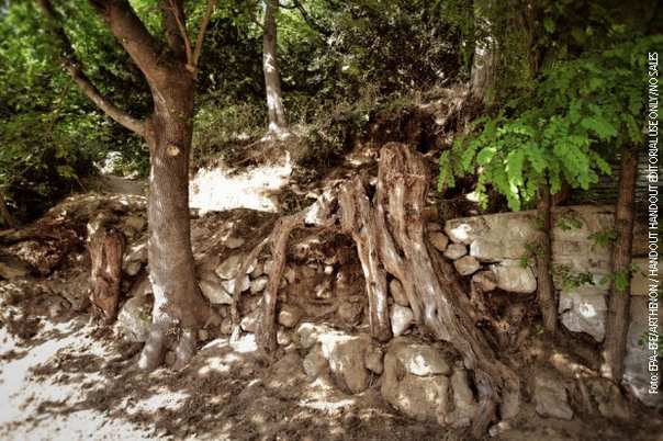 poslednja lokacija van gog umetnicko delo