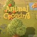 video igra animal crosing